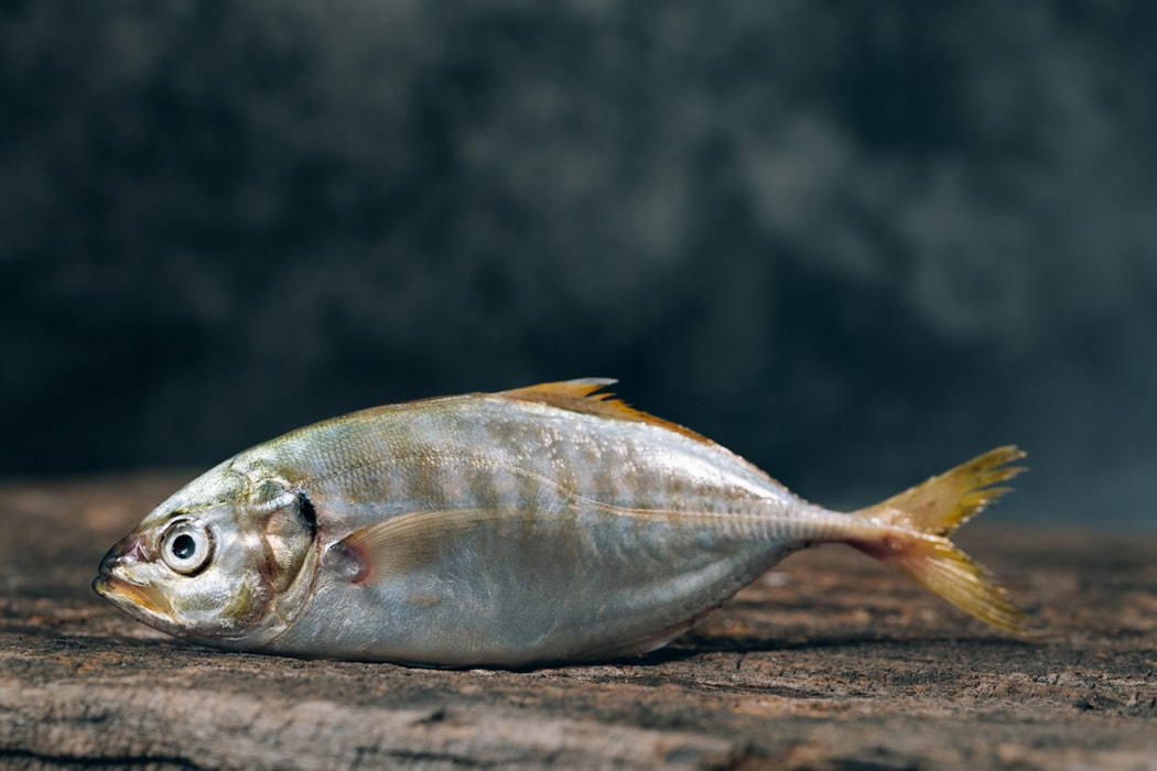 Yoga Fisch – Ausführung & Wirkung der Asana Fisch